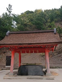 DSC_6585 (1).jpg