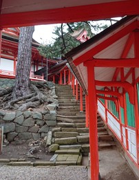 DSC_6590 (1).jpg