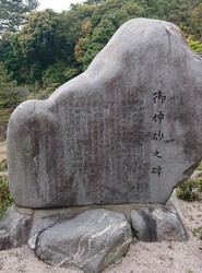 DSC_6596 (1).jpg