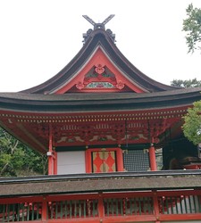 DSC_6597 (1).jpg