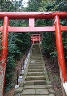DSC_6600.jpg