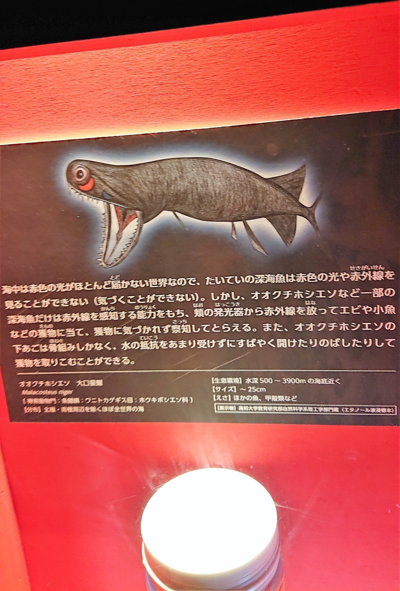 萩博物館 Omoniの主にっき